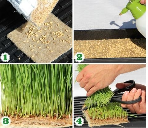 Image of Coco Coir Micro Green Sheet 10 * 20 (Pack of 4)| Coconut Coir Hydroponic Grow Mat |Woven Coco Fiber Growing Pad for Microgreens & Wheatgrass