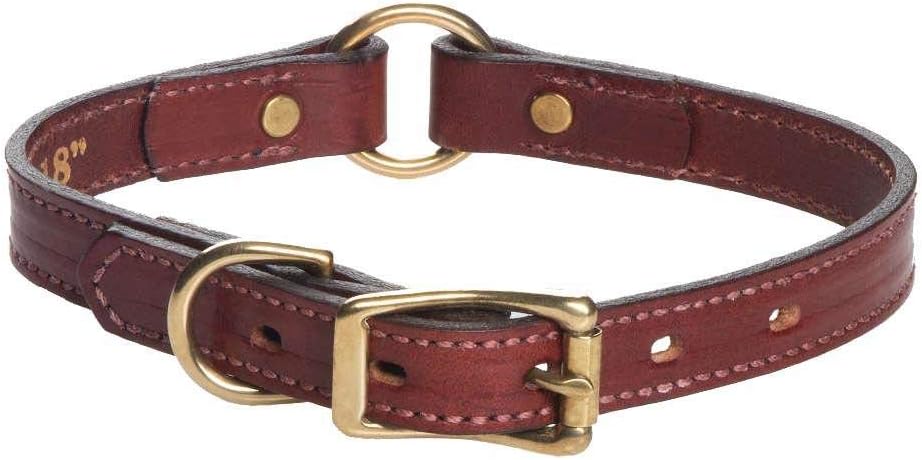 Mendota Pet Leather Hunt Collar - Dog Collar - Made in The USA