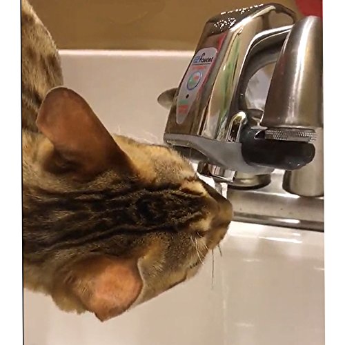 iTouchless EZ Faucet PRO Automatic Sensor Faucet Adapter for Hygienic Bathroom, Kitchen Sink, Office, also use as Cat Fountain and Pet Water Dispenser - Thumbnail 3