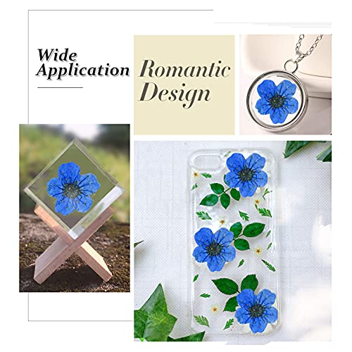Flores Secas Prensadas Azul Natural 60Pzs miniatura 7