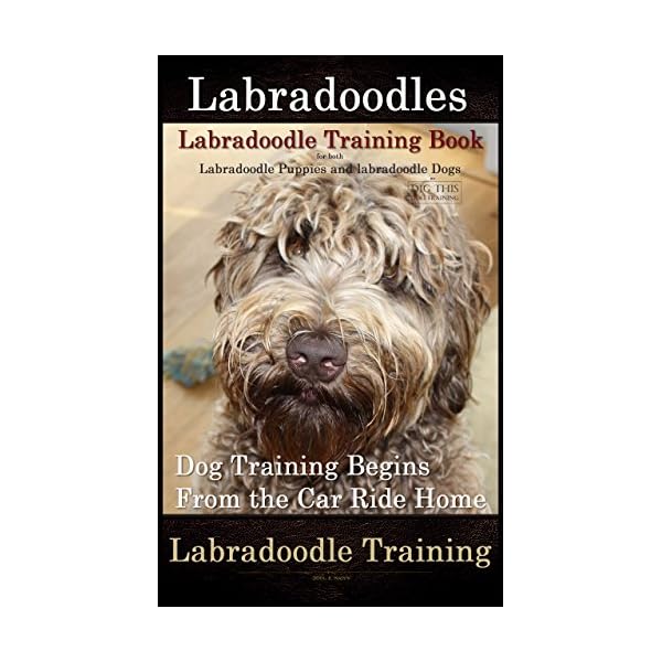Labradoodles, Labradoodle Training Book for Both Labradoodle Dogs & Labradoodle Puppies By D!G THIS DOG Training: Dog Training Begins From the Car Ride home Labradoodle Training Labradoodles, Labradoodle Training Book for Both Labradoodle Dogs & Labradoodle Puppies By D!G THIS DOG Training: Dog Training Begins From the Car Ride home Labradoodle Training