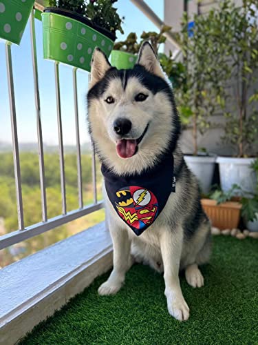 Image of That Dog In Tuxedo Tdit XDc Justice League Reversible Dog Bandana With Adjustable Dog Collar (Size Medium /Large, Black)