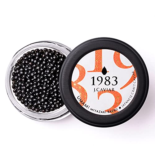【新発売 和風キャビア】1983 J.CAVIAR BAERII UMAMI ( 20g / 贈答用化粧箱 / シェルスプーン付 ) 国産 和 キャビア チョウザメ ギフト 誕生日 おつまみ プレゼント 高級食材