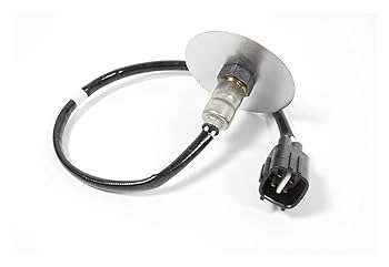 Amazon.com: Genuine OEM For Kawasaki Brute Force 750 4x4i