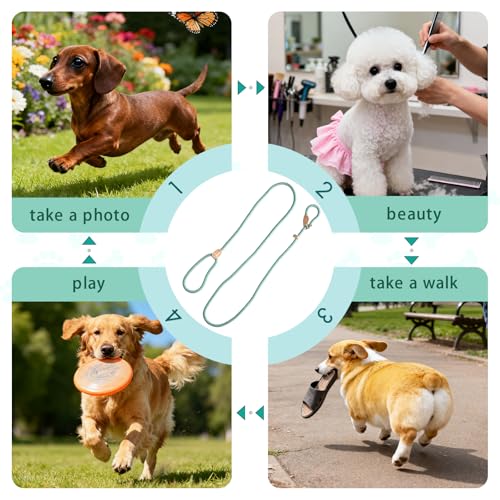 Rieoany Retrieverleine mit Zugstopp, 180 cm Hundeleine aus Polyester, Anti-Zieh Schleppleine für Hunde, Leichtes Führungsleine für Training Spaziergang, Cyan
