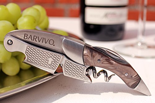 Barvivo Black Resin Wine Opener With Foil Cutter Knife & Cap Remover, Double Hinged Manual Wine Key For Bartenders, Servers, Waiters, Stainless Steel Wine Bottle Opener Corkscrew #TOP4