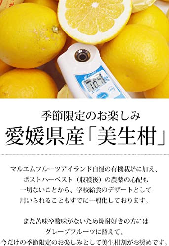 マルエムフルーツアイランド 美生柑