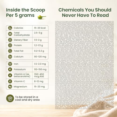 Organic Moringa Powder - 1.10 lbs (17.64 oz) | USDA Organics, Non-GMO, Kosher, Halal, Moringa Oleifera Leaf Powder - 100% Raw and Natural, Gluten-Free Alternate view