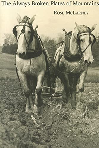 The Always Broken Plates of Mountains (Stahlecker Selections)