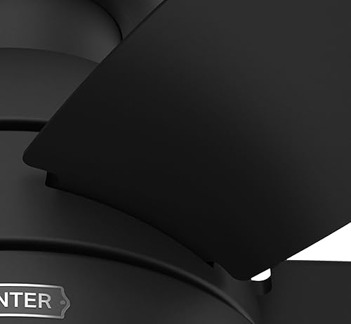 Miniatura 8 de Hunter Fan Company 52613 Lilliana Ventilador de techo, 044, negro mate