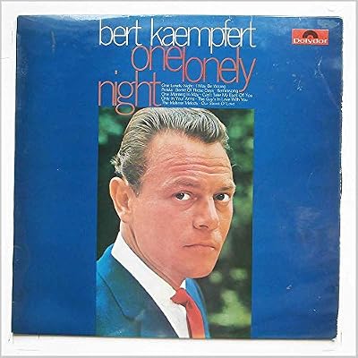 One Lonely Night
