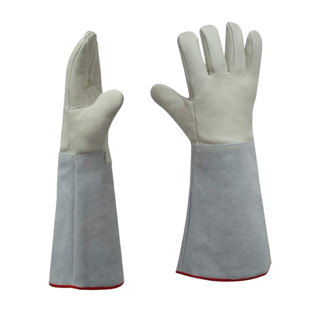 Gantelets de Travail de Jardinage, Gants de Travail, congélateur isolé en Cuir for Temps Froid, Grand Travail -36 cm