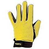 Black Cat Catfish Handschuh - 2 Landehandschuhe für Waller, Wallerhandschuhe zum Landen von Welsen, Welshandschuhe