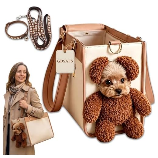 Stylish 2-in-1 Teddy Bear Dog Carrier Bag