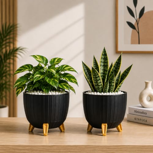 Image of (7 Inch) Plastic Flower Pot for Indoor Outdoor Plants with Stand, planters for Home Decor, Flower Pot with Legs, Flower Pot for Living Room, Garden, Pot for Office Table & Home (Black, 2)