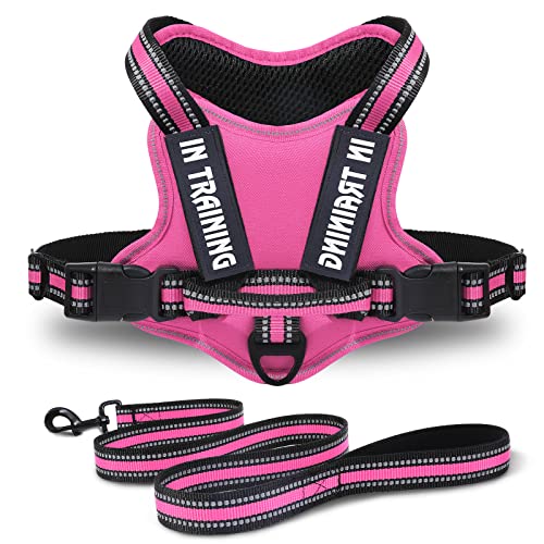 Leodmon Keine Pull Hundegeschirr und Leine Front Reflektierende Pet Brustgeschirr für Kleine Mittlere Große Hunde Einstellbar Weich Laufgeschirre Sicher Kontrolle Gepolstert Brustgeschirr Rose L Cover