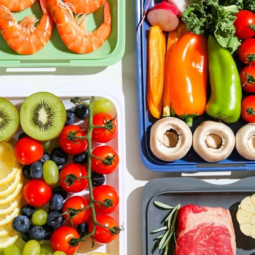 DECODEKO Tupper Embutido Nevera Hermético, Porta Embutidos Fresh Set de 4 Apilable, Libre de BPA Apto Congelador, Microondas, Lavavajillas, 17 x 3.2 x 25.2 cm, Fácil de llevar (4)