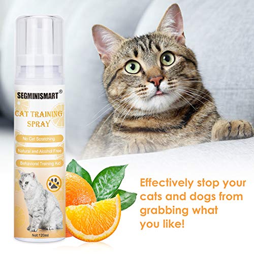 ** Top 5 Reviews ** Best Cat Scratch Deterrent Spray in 2022
