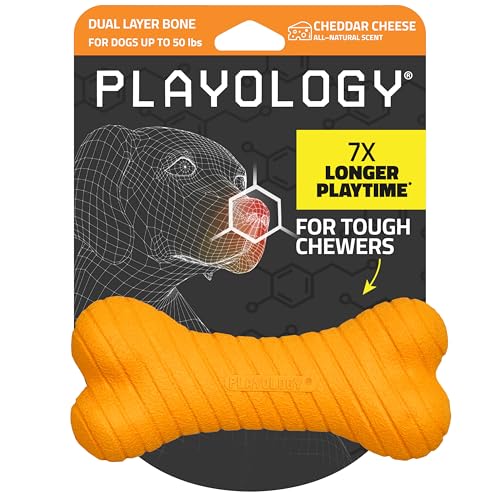 Playology Dog Toys | Dual Layer Bone Durable Chew Toy Bone for Dogs | Medium Cheddar Cheese Scented Toy - Easy to Clean and Made from Non Toxic Materials