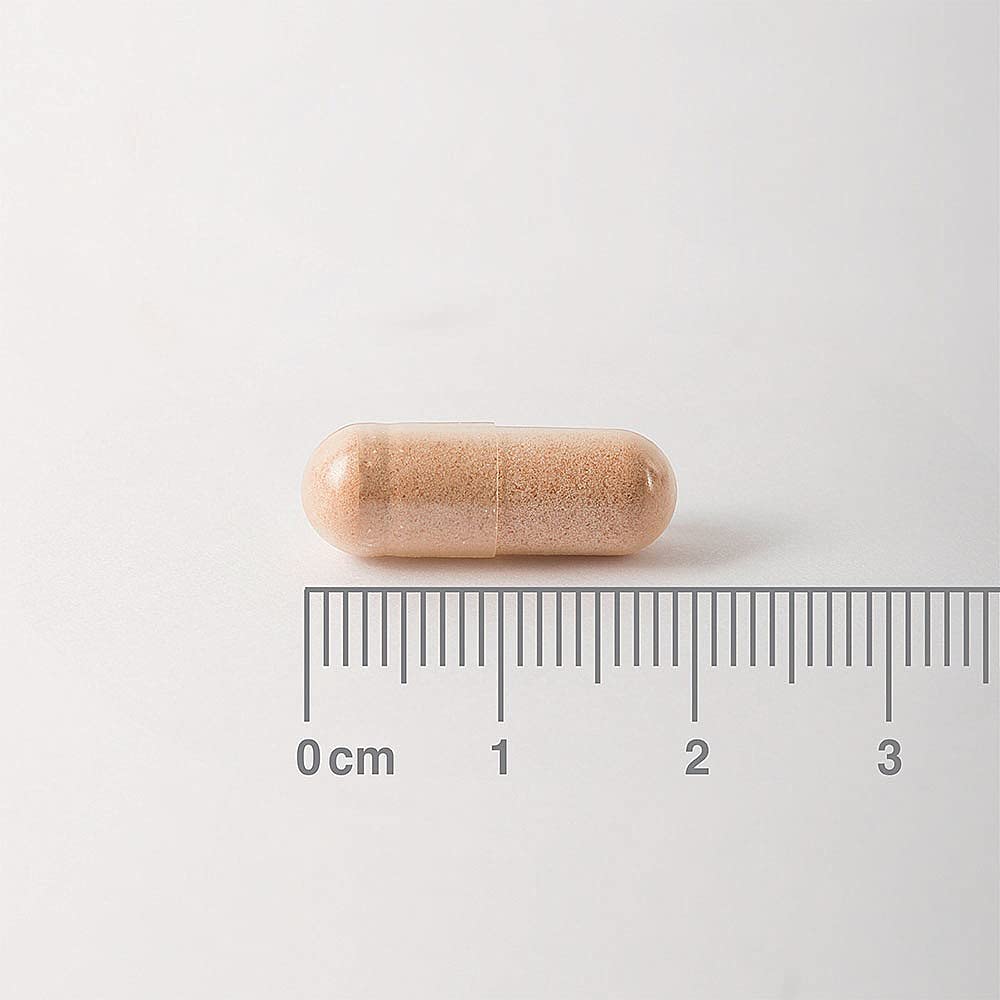 Lamberts - Pycnogenol - 60 caps