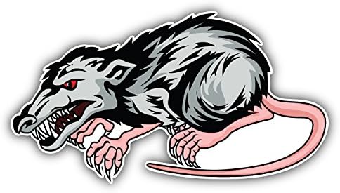 Angry Rat Sticker Amazon.com - Dangerous Rat Car Bumper Sticker Vinyl Decal