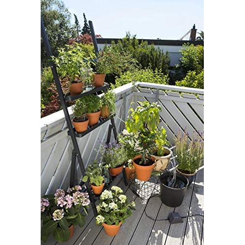 Bild 12 Gardena city gardening Urlaubsbewässerung: Pflanzenbewässerungs-Set für drinnen und draußen, individuelle Bewässerung von bis zu 36 Pflanzen (1265-20), 20 x 20 x 30 cm