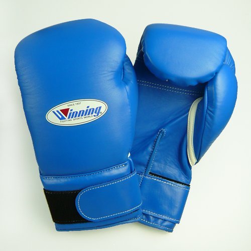 Best Boxing Gloves [7 Top Picks for 2020]