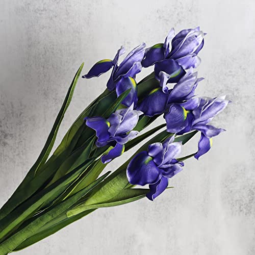 huaao 6 Stück Künstliche Iris Blumen, Langer Stiele Gefälschte Kunstblumen Iris Deko für DIY Blumenarrangements Hochzeitsstrauß Foto Requisiten Dekoration Zuhause Party Tischdekoration, Lila