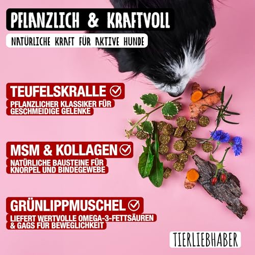 TIERLIEBHABER – Gelenk Drops mit Grünlippmuschel Hund – Von Tierärzten entwickelt – Gelenktabletten Hund geeignet als Hunderunde Futtertopping – Hundeleckerli mit Teufelskralle, MSM & Kollagen