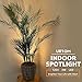 URTOM 2 Pack Indoor Spot Lights, 120V LED Accent Up Lights, 3W Plant Spotlights, 3000K Floor Spotlights for Plants, Pictures, Desk - Uplights with 5.9 FT Plug Cord and Foot Switch