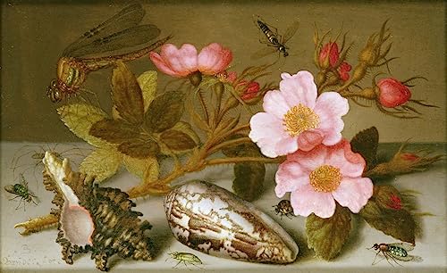 Tableau nature morte fleurs et coquillages Balthasar Van Der Ast édition premium pour chambre