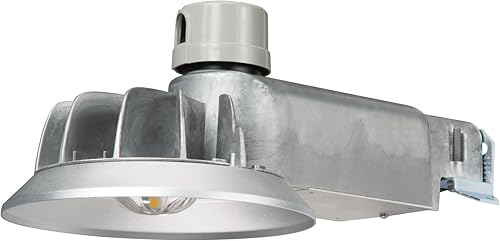 Lumark CTKRV2B Caretaker - Luz LED de área del atardecer al amanecer, 4000K, 7100 lúmenes, sin tamaño, aluminio