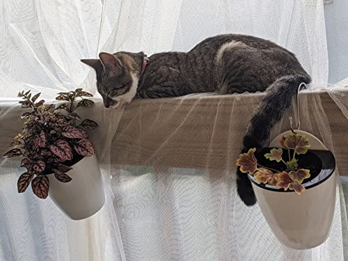 Deelf Outlet 6 Packs 5" Plastic Self Watering Pots Wall Hanging Planters Wall Mounted Wicking Flower Pots For Indoor And Outdoor African Violet, Ocean Spider Plant, Orchid, White #TOP3