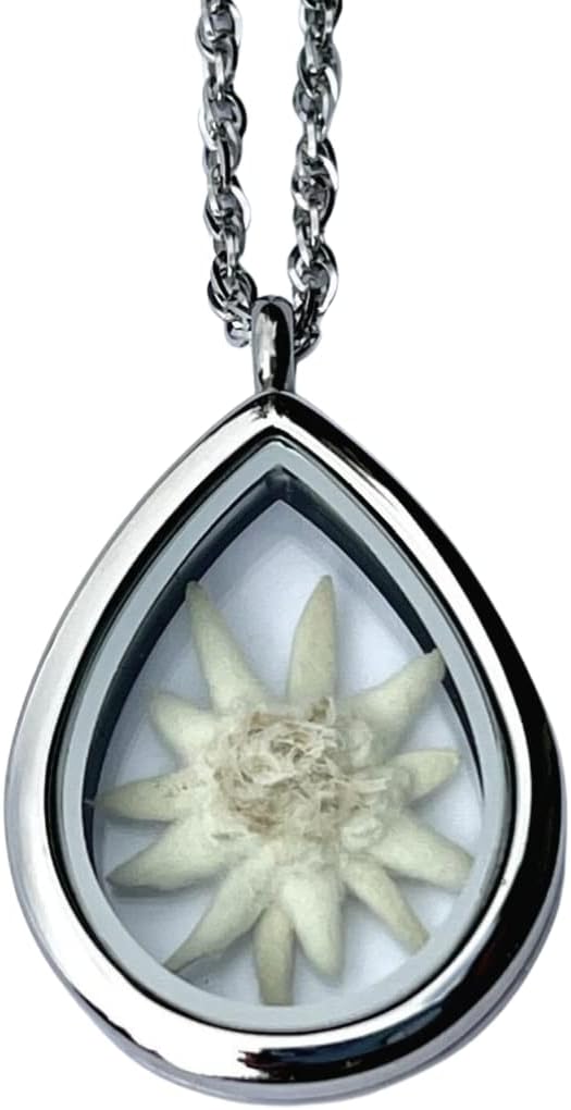Real Pressed Edelweiss Teardrop Locket, Silver Stainless Steel