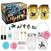 Brynnl Fairy Lantaarn Craft Kit voor meisjes, 2 Pack Diy Fairy Jar Nachtlampje voor kinderen, Art Craft voor Kerstmis…