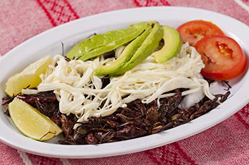 Chapulines - Grasshoppers Real de Oaxaca 2 oz - Image 5
