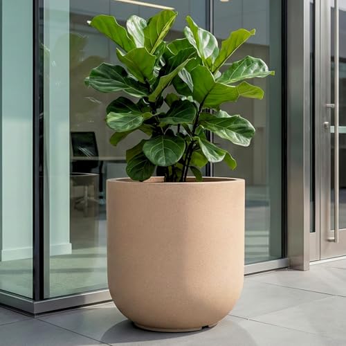 Image of Eha Earth Friendly Roto Bloom Big Planters for Home Decor | 15 inch, Pack of 1 | Plant Pot Made with Rice Husk | UV Protected Pot for Plant | Pots & Planters Big Size | Dune