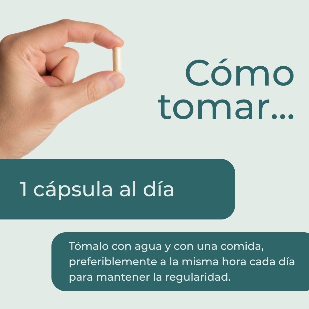 Naturecan Resveratrol y Romero - 500 mg - 60 cápsulas - Suplemento dietético - Fabricado en Europa