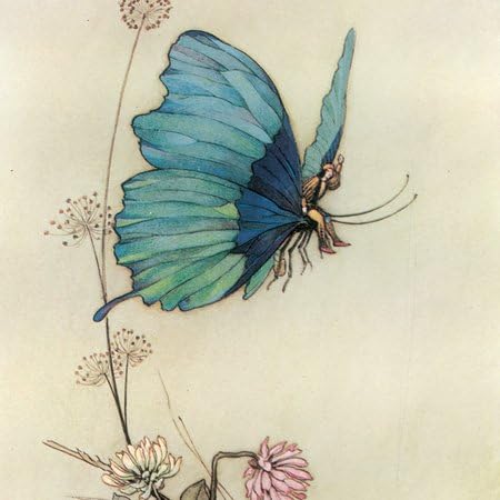 3dRose lsp_110172_1 Fairy in The Garden Vintage Art Light Switch Cover,Multicolor image 5