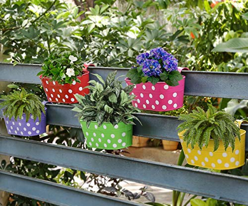 Leafy Tales Muticolor Metal Rust-Free Hanging Planter - Set of 5 (Oval - Red, Green, Yellow, Pink, Purple), 30 cm x 15 cm x 14 cm
