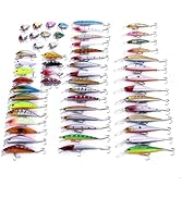 Amazon.co.jp: ルアーセット 43個 釣具セット 大量 川 海 湖 渓流