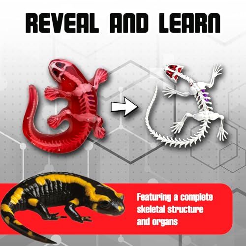 Image of Top Secret Toys Dissect-It Mini Labs Salamander Dissection Kit for Kids, Realistic Synthetic Kids Science Kit - On, Biology and Animal Anatomy, STEM Toy, Ages 6+
