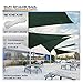 Windscreen4less 16' x 16' x 16' Sun Shade Sail Triangle Outdoor Canopy Cover UV Block for Backyard Porch Pergola Deck Garden Patio (Green)