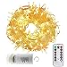 100ft/30m Warm White 300 LED Outdoor & Indoor Battery Fairy Lights w/ Remote & Timer, Waterproof (8 Modes, 4 x AA batteries, Dimmable, Clear Cable)