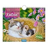  Trötsch Notizkalender Querformat Notizkalender Katzen 2023: Wandkalender