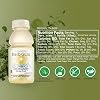 Herb Guru 24 Pack Herbal Fruit Immunity Drink | Peppermint Flavored Fruit Water Wellness Drinks (10 oz Bottles)