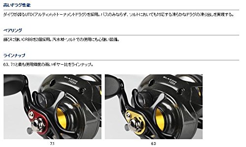ダイワ(Daiwa) ベイトリール ブレイゾン 100HL 3枚目
