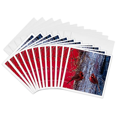 Cardinals de Noël cartes de vœux 3dRose lot de 12 pour vos tables de fêtes