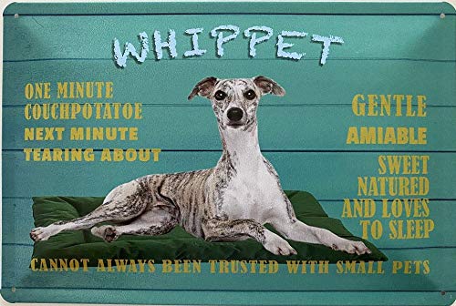Deko7 Blaszana tabliczka 30 x 20 cm Dog - Whippet - English