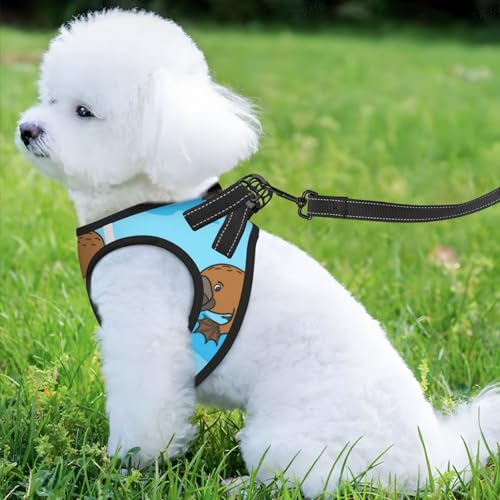 Australisches lustiges Schnabeltier, Haustiergeschirr, Verstellbares reflektierendes Hundegeschirr, Haustierleinenweste,M